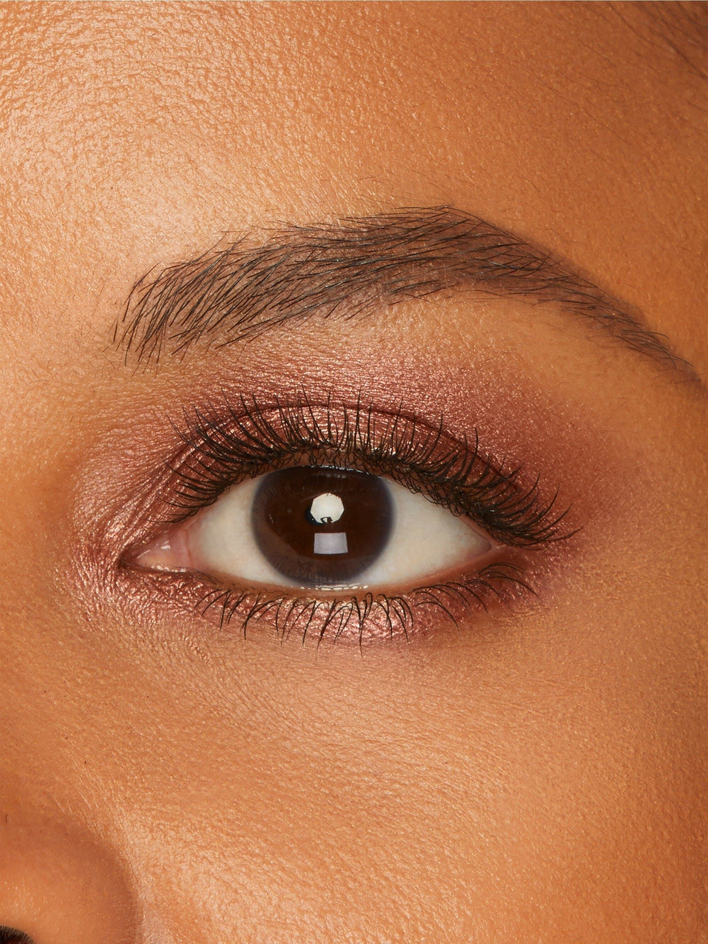 Amazonian clay cream shadow image number 8